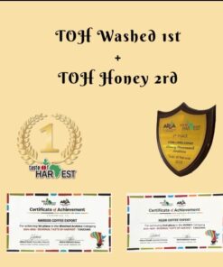 限時TOH組合冠亞軍皇牌優惠