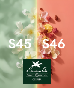 2025 巴拿馬三料冠軍莊園 翡翠莊園綠標私藏批次優惠+ 順豐送貨免運