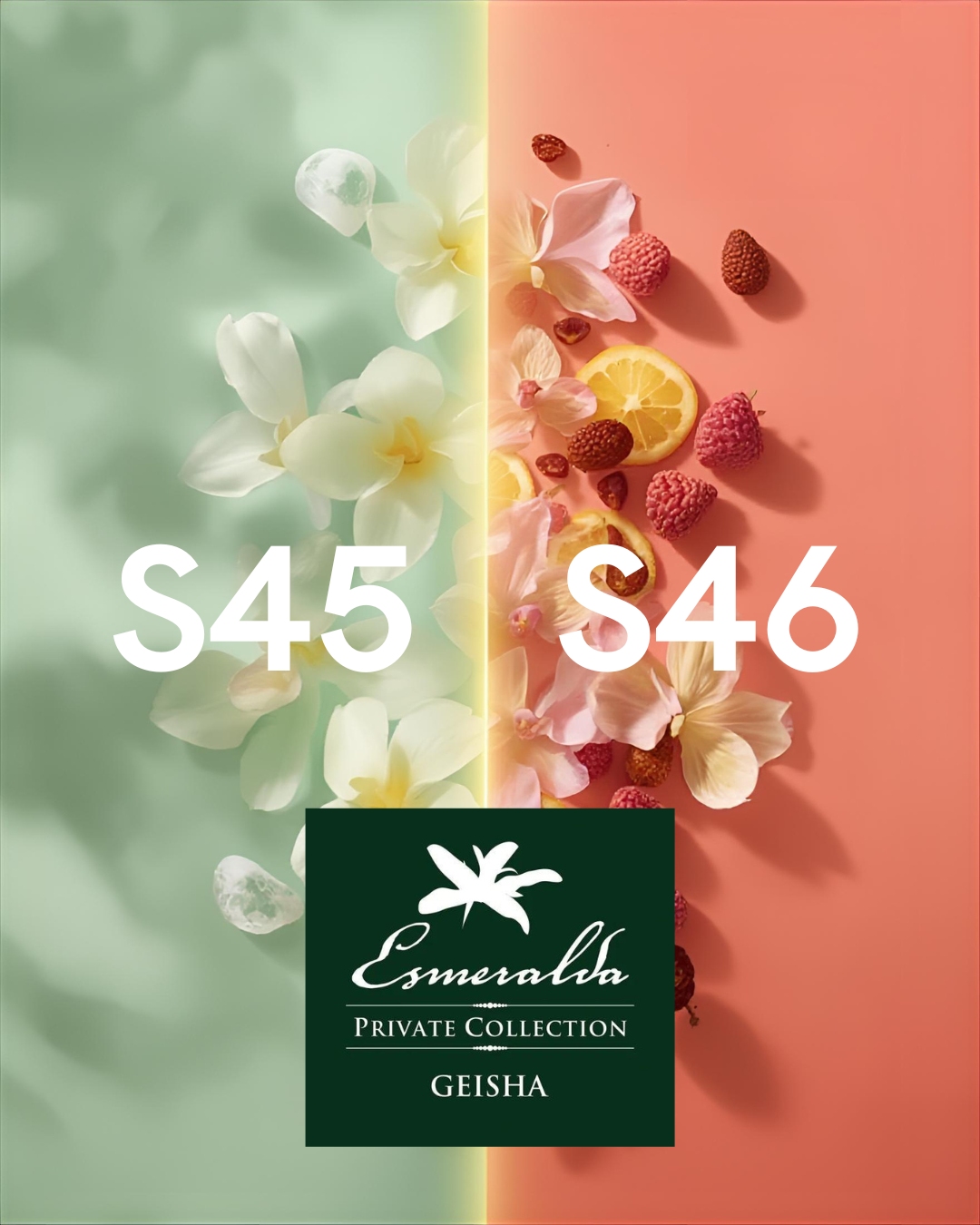 Contemporary Coffee Varieties Presentation