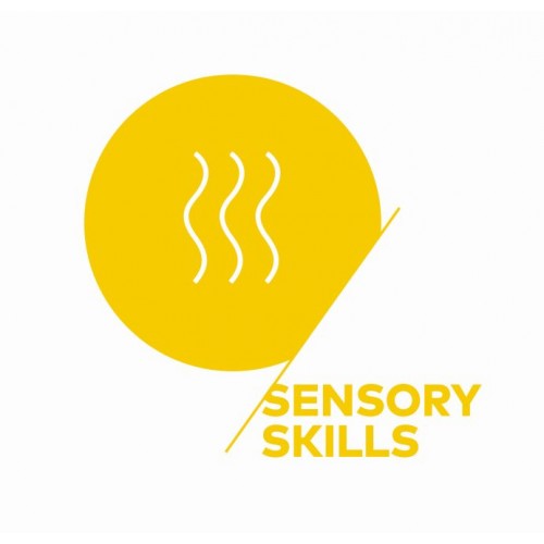 SCA_sensory-500x500