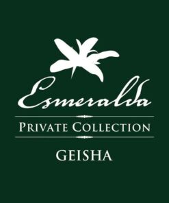 S45 巴拿馬 翡翠莊園 拉米約地塊 綠標私藏瑰夏 水洗咖啡豆 (100g)