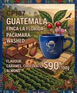 危地馬拉咖啡 CP187 02