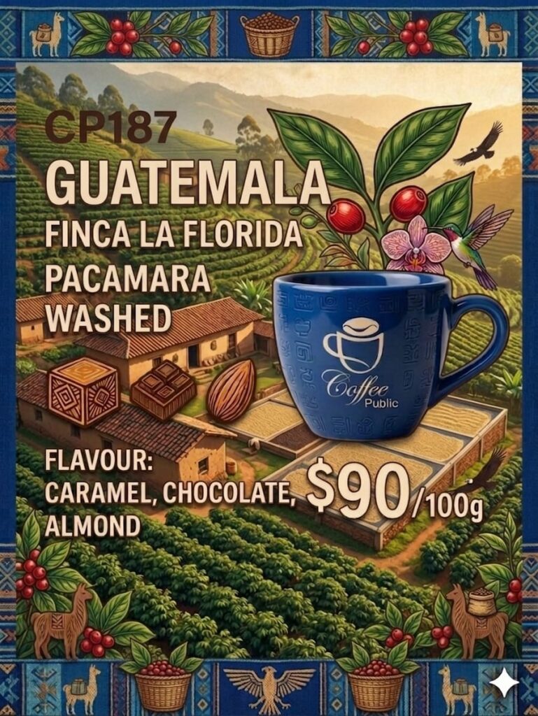 危地馬拉咖啡 CP187 02