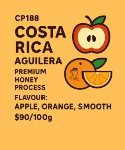 咖啡豆哥斯大黎加.