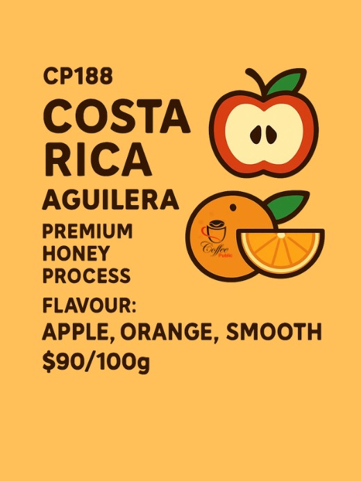 咖啡豆哥斯大黎加.